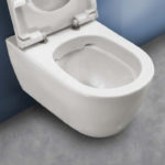 leonardo-toilet