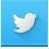 icon-twitter