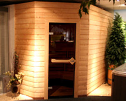 Professionele Sauna