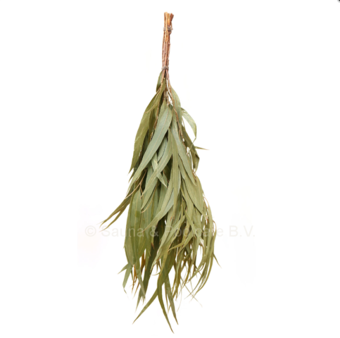 Sauna-Vihta-Eucalyptus-e1487251075942